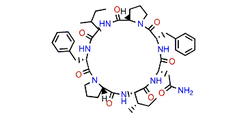 Euryjanicin E